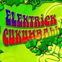 Trinity Electrick Cukumbahh Ale