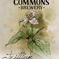 The Commons Trillium Sour Farmhouse Ale