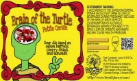 brain-of-the-turtle