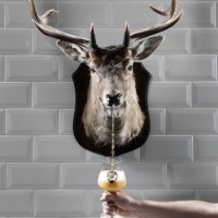 BrewDog Ghost Deer