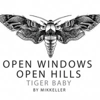 Mikkeller Open Windows Open Hills Tiger Baby Malt Liquor