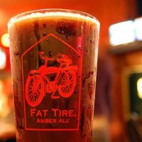 new-belgium-fat-tire-glass-575