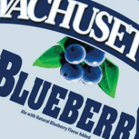 Wachusett Blueberry Can