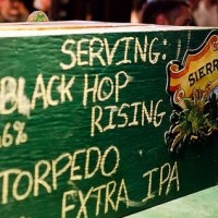 Sierra Nevada Torpedo at festival
