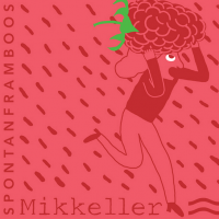 Mikkeller Spontanframboos Sour Ale