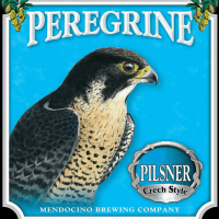 Mendocino Peregrine Pilsner