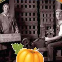 Timmermans Pumpkin Lambicus