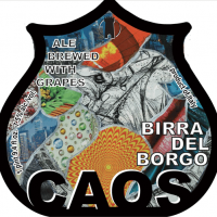 Birra del Borgo Caos Sour Ale