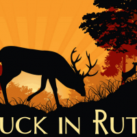 O'So Buck in Rut Lager