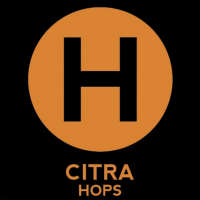 Hermitage Single Hop Citra IPA
