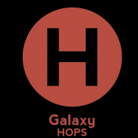 Hermitage Single Hop Galaxy IPA