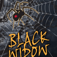 Sprecher Black Widow IPA