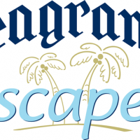Seagram's Escapes