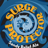 Surge Protector Blue Point Barrier