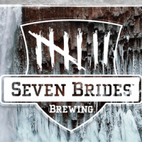 Seven Bridges Antiqua Black IPA