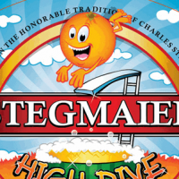 Stegmaier High Dive Ale