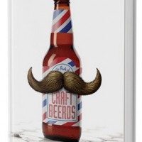 craft beerds beer book