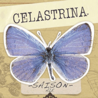 Odell Celastrina Saison