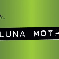 smuttynose luna moth label
