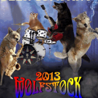 Paradox 2013 Wolfstock Wine Barrel Aged Ameri-Belgo Pale Ale