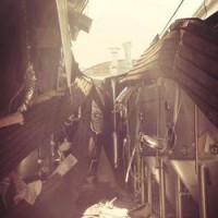 mustang damage 2