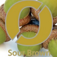 Nøgne Ø Sour Brown Ale