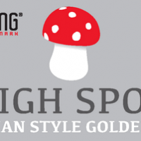 Mad Viking High Spot Belgian Golden Ale