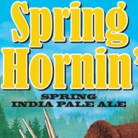 Anderson Valley Spring Hornin' Spring IPA