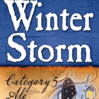Heavy Seas Winter Storm Category 5 Ale