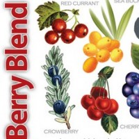 HaandBryggeriet Berry Blend Ale