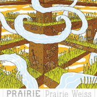 Prairie Weiss Sour Wheat Beer