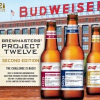 budweiser brewmasters project twelve box
