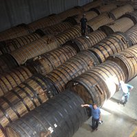 new belgium foeder