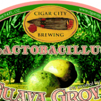 Cigar City Lactobacillus Guava Grove Sour Ale