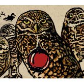 Karl Strauss Four Scowling Owls ale