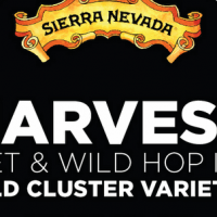 Sierra Nevada Harvest Wild Hop IPA Wild Cluster