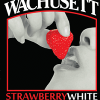 Wachusett Strawberry White Ale