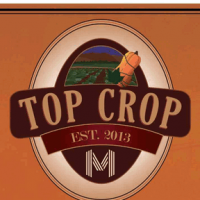 Engine 15 Top Crop Ale