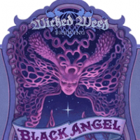 Wicked Weed Black Angel Black Sour Ale Aged in Bourbon Barrels