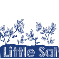 Allagash Little Sal Wine Barrel-Aged Ale