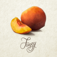Side Project Fuzzy American Wild Ale