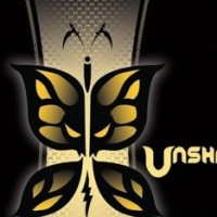Ale Asylum Unshadowed Hefeweizen