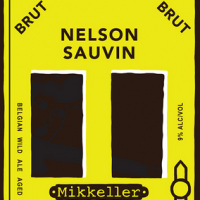 Mikkeller Nelson Sauvin Brut Belgian Wild Ale