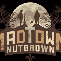 Ale Asylum Madtown Nut Brown Ale