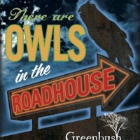 Greenbush There Are Owls in the Roadhouse Raspberry Porter