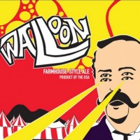 Southern Star Walloon Farmhouse Ale