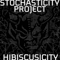 Stone Stochasticity Project Hibiscuscity Belgian Ale