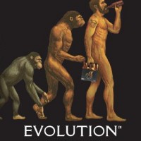 Wasatch Evolution Amber Ale