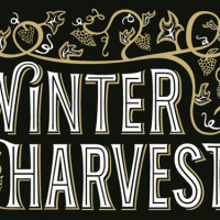 Stone Winter Harvest Belgian Golden Ale Aged in White Wine Barrels