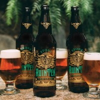 Stone RuinTen Triple IPA 2015 BeerPulse